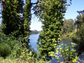 Willamette River at Champoeg © Catherine Jetté