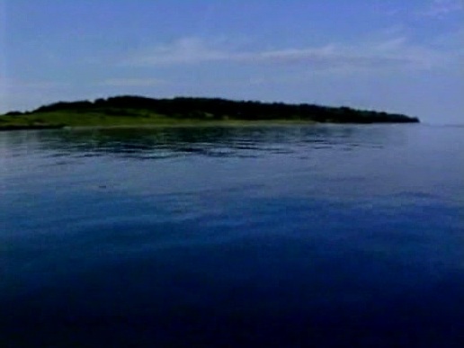 Four à fondre les graisses de baleine. Photo : Laurier Turgeon