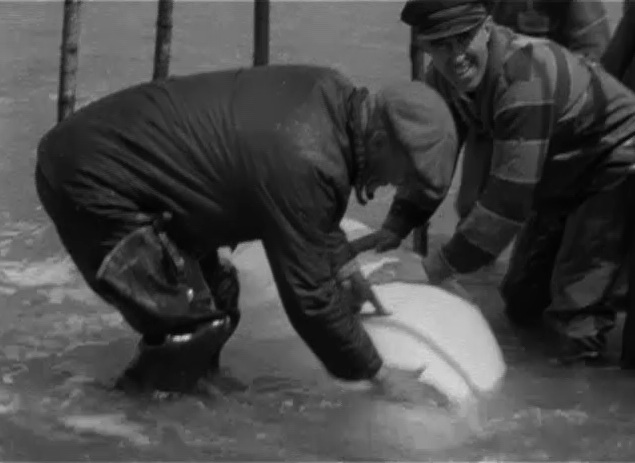 Georges Dufaux et Marcel Carrière pendant le tournage du film Rose et Landry: Tiré du film, Le direct avant la lettre