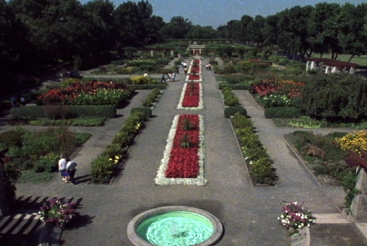L'étang situé au coeur du Jardin botanique